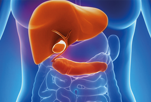 Hepato Billiary Surgery in Pune